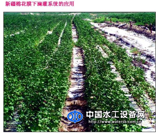 内镶式滴灌管