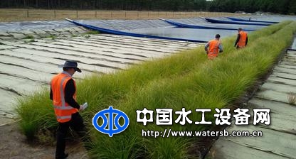 斯倍尔浮动水生植物带复合纤维载体（浮动湿地）