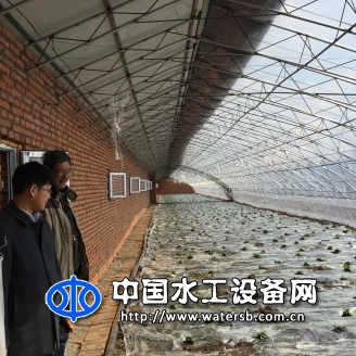单翼迷宫式滴灌带