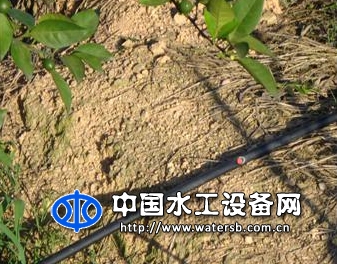 内镶式滴灌管