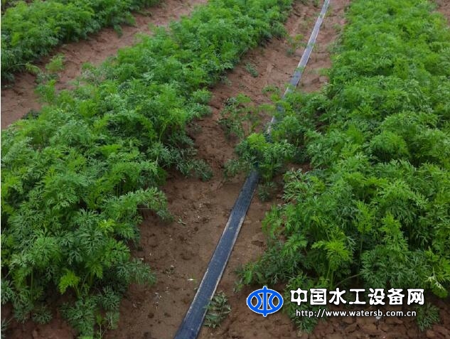 双翼型微喷带ATP-PDD