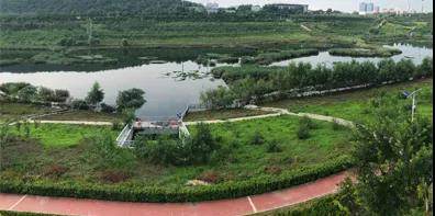 微信图片_20200903111619.jpg
